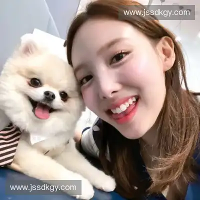 韦心诚